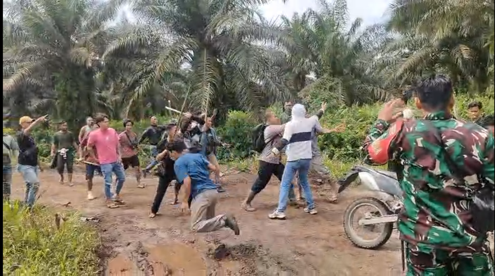 Bentrokan di Lahan Perkebunan Bengkalis, Dua Pekerja Luka Berat, Masyarakat Adat Sakai Desak Penegakan Hukum