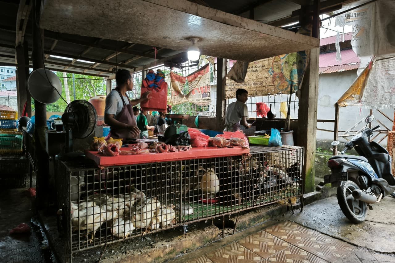 Tembus Rp37.000 per Kg, Harga Ayam Potong di Pekanbaru Naik Drastis